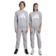 Adidas Παιδικές φόρμες σετ Big Logo Fleece Tracksuit